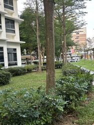 Blk 9 City View @ Boon Keng (Kallang/Whampoa), HDB 5 Rooms #552103101